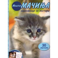 Моите мачиња